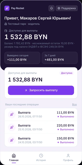 Приложение исполнителя Pay Rocket